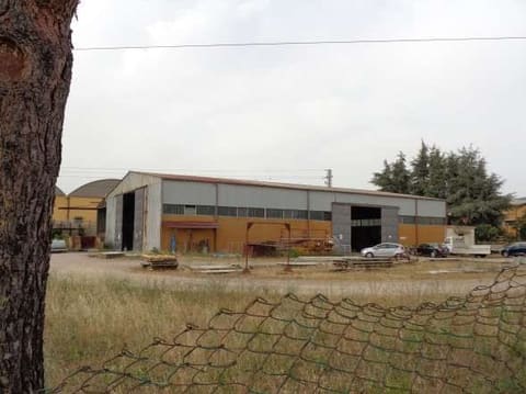 Photo of the lot 7