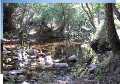 Photo: Altra categoria in Trinità d'Agultu e Vignola (OT)