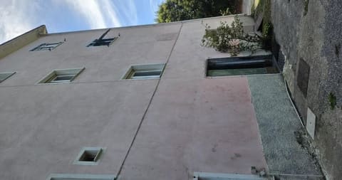 Photo of the lot 3