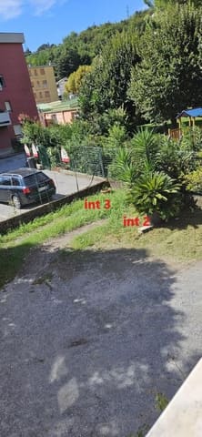 Photo of the lot 6