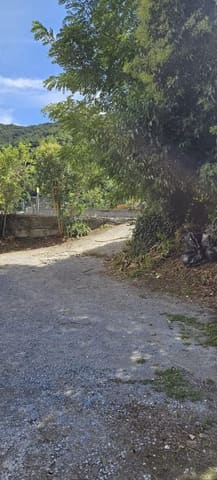 Photo of the lot 7
