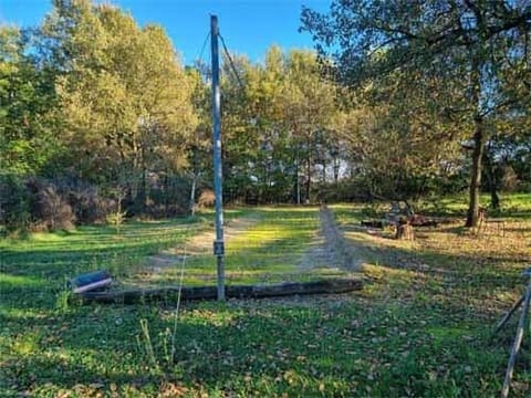 Photo of the lot 1