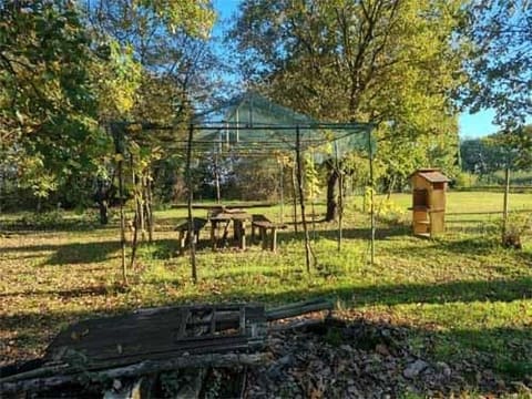Photo of the lot 2