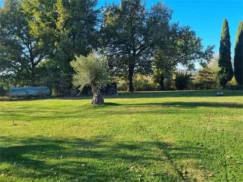 Photo of the lot 3