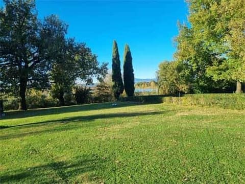 Photo of the lot 4