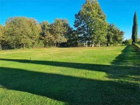 Photo of the lot 5