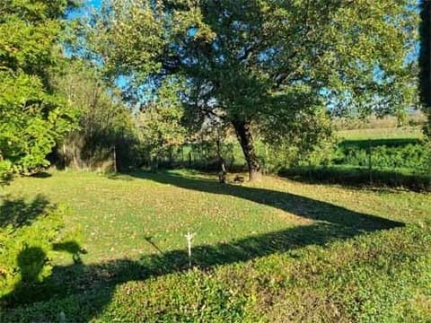 Photo of the lot 6