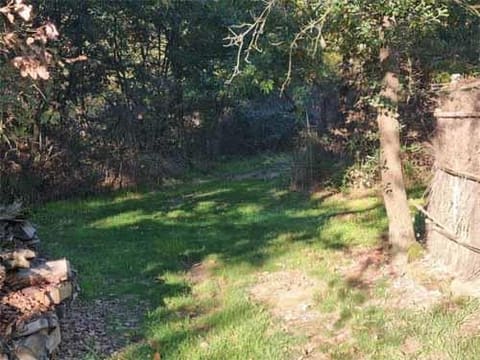 Photo of the lot 7
