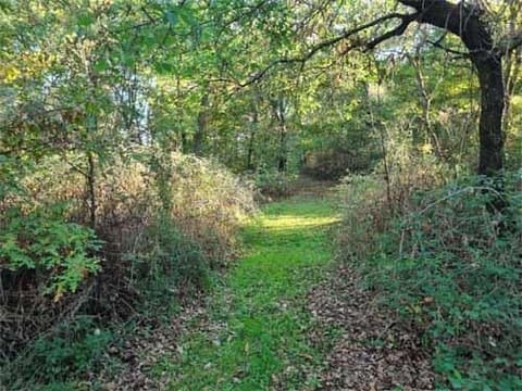 Photo of the lot 8