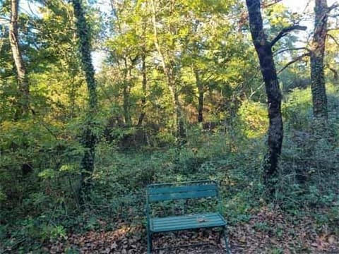 Photo of the lot 9