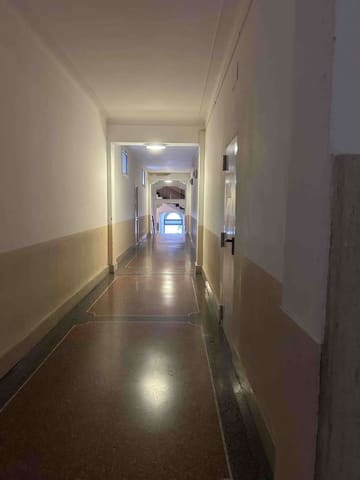 Photo of the lot 7