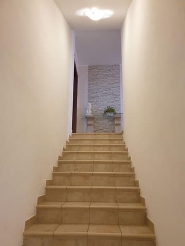 Photo of the lot 8