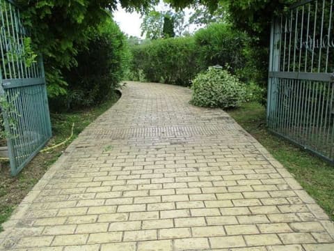 Photo of the lot 2