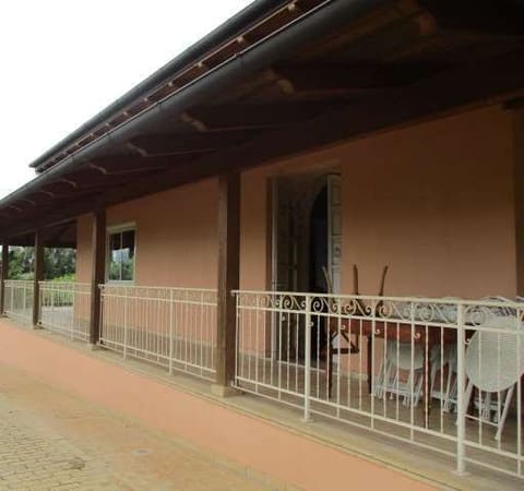 Photo of the lot 5