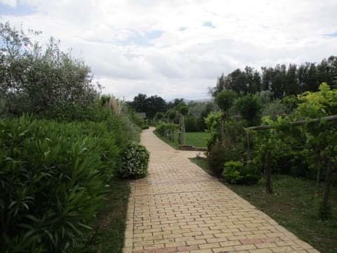 Photo of the lot 6