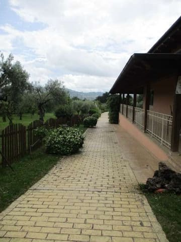 Photo of the lot 7