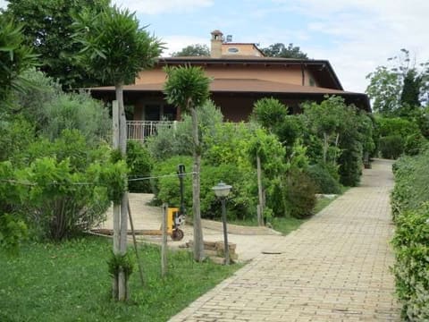 Photo of the lot 8