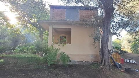 Photo of the lot 5