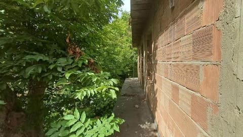 Photo of the lot 6