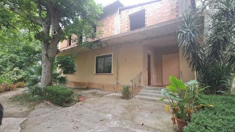 Photo of the lot 2