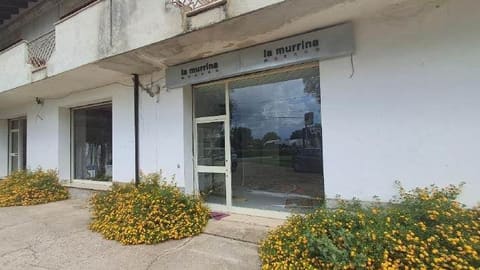 Photo of the lot 6