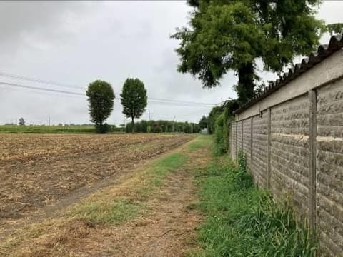 Photo of the lot 3