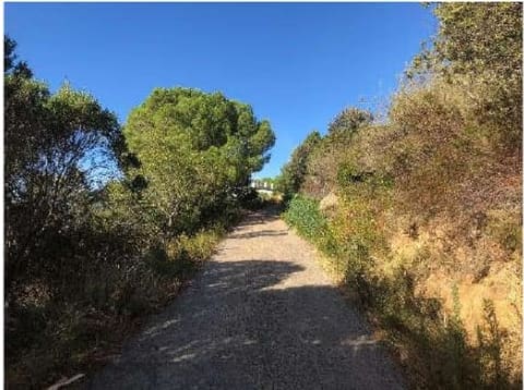 Photo: Altra categoria in Arzachena (OT)
