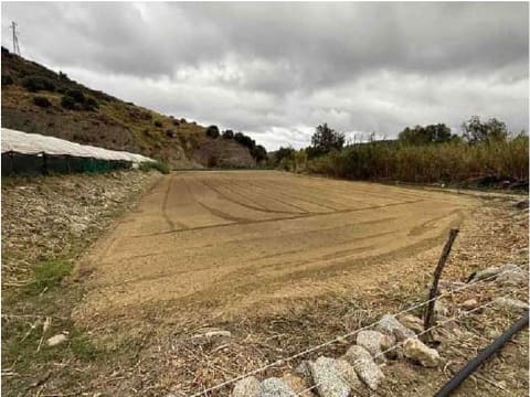 Foto: Altra categoria a Petrizzi (CZ)