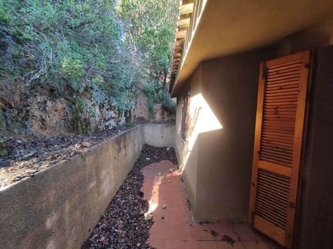 Photo of the lot 5