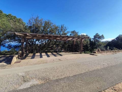 Photo of the lot 2