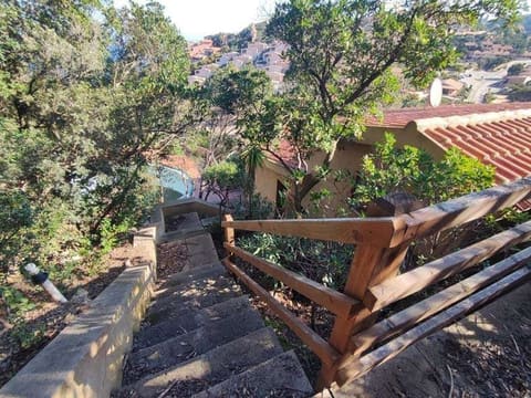 Photo of the lot 1