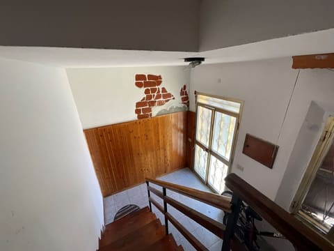 Photo of the lot 3
