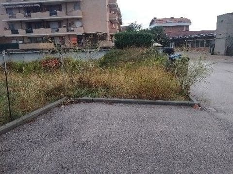 Foto: Altra categoria a Marsciano (PG)