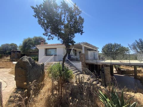 Photo of the lot 9
