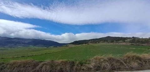Photo: Altra categoria in Castronovo di Sicilia (PA)