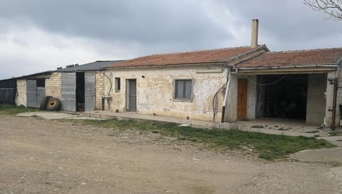 Photo: Altra categoria in Venosa (PZ)