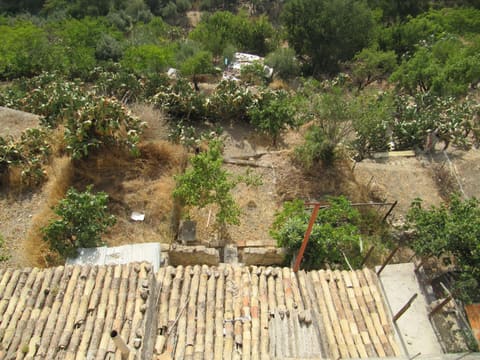 Photo of the lot 2