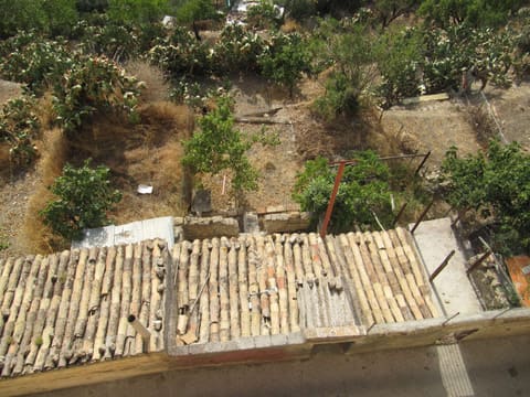 Photo of the lot 3