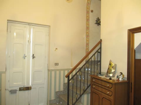 Photo of the lot 4