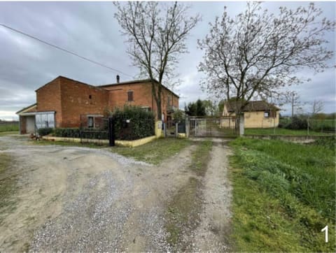 Photo of the lot 2