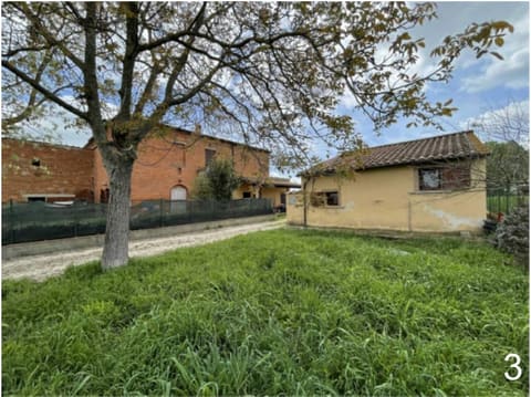 Photo of the lot 3