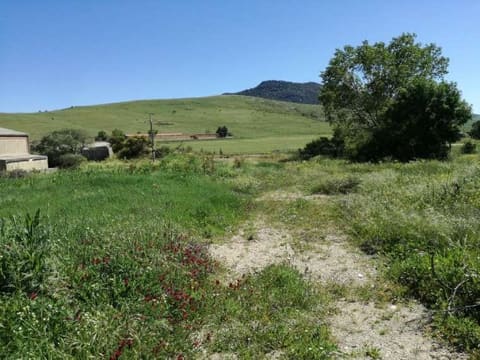 Photo: Altra categoria in Prizzi (PA)