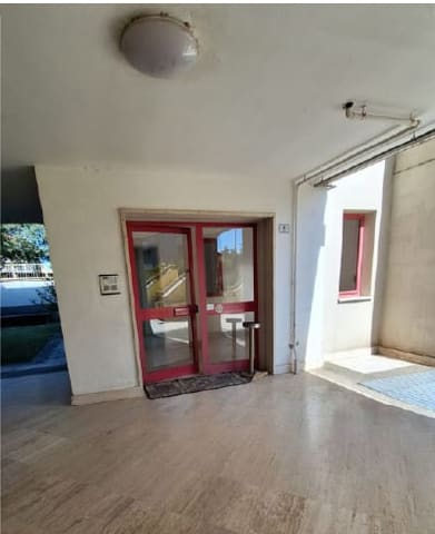 Photo of the lot 3