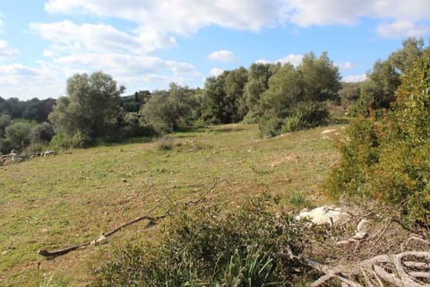 Photo: Altra categoria in Noto (SR)