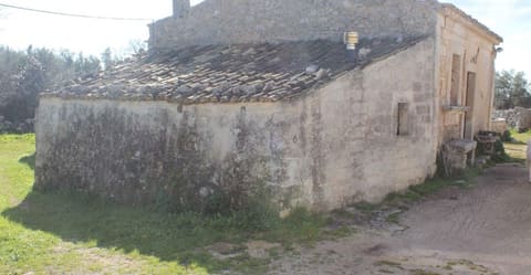 Photo of the lot 3