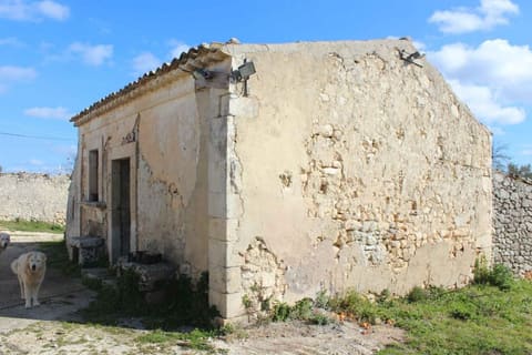 Photo of the lot 4