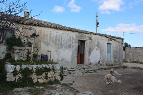 Photo of the lot 6