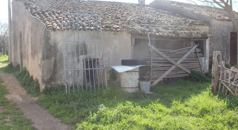 Photo of the lot 7