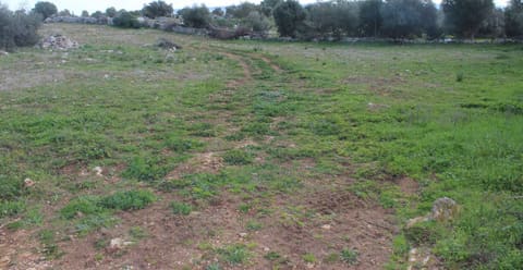 Photo of the lot 8