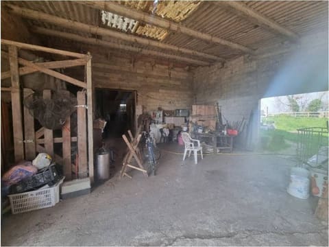 Foto del lotto 6